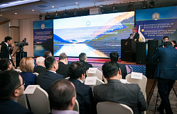 ������� ������� ������ ������-����������� � ������� � ��������