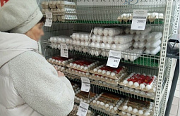 ����-������� ����� ������ ���������� ������ �� ����