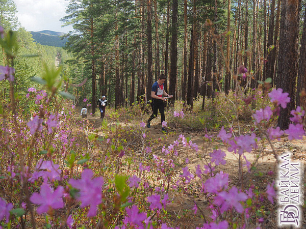 � ����-��� ������ ��������� ������� �� ����������� ��������������