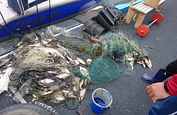 200 �� ���� ���������� �� ����� � ��������� �������