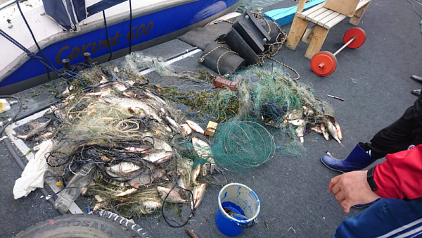 200 �� ���� ���������� �� ����� � ��������� �������