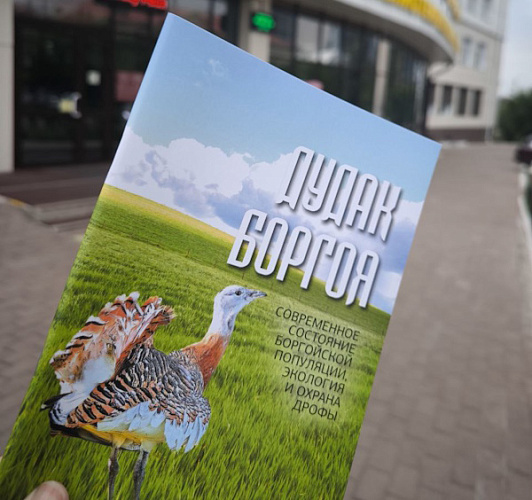 � ������� ����� ������� ������� � ������������� �����