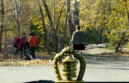 � ����-��� ����������� ����������