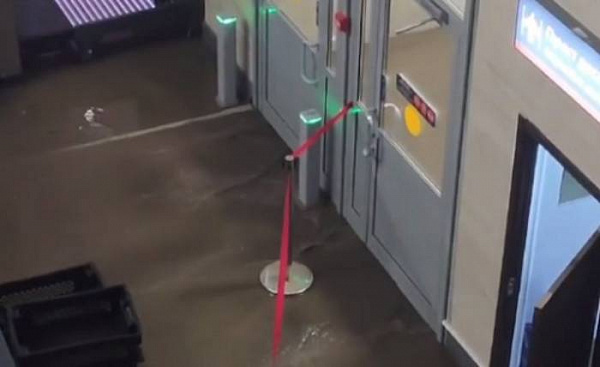 � ����-��� �������� ������ ���� ������� 