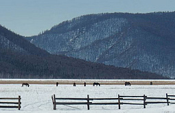 � ������� ��������� ��� ������� �������� ������ � �����