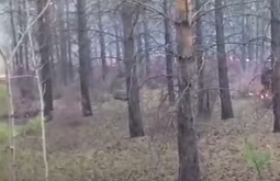 ����������� ������� ������� ������� ���������  