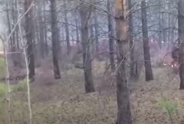 ����������� ������� ������� ������� ���������  