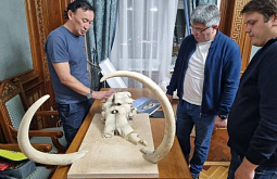 ����� �������� ����������� �� �������� ������� ������� � ������� 