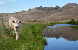 ������������� ������ � ������� ���� �� ��������� ������