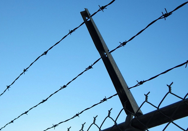 ������������������ ���������� ����������� ������� ��������� � ���� 