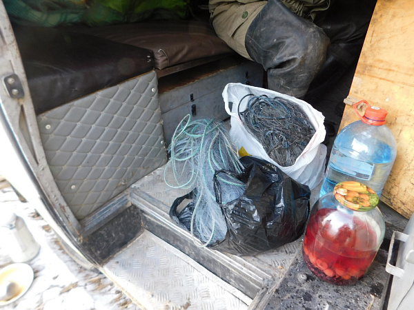 � ���������� ������� ����������� � ��������� � ������