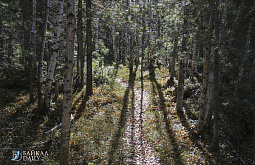 � ������� ������������� 2254 ����� �����