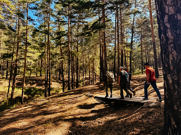 � ������� ������� ������ ������ �������� ������� 