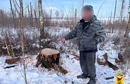 ���� ������� ���������� �������� � ��������� ����������� �� ������� 