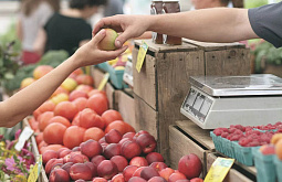 � ���������� �������� ������� �� ���������� �� ��������� ������ � �������