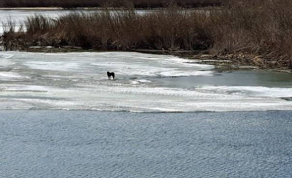 ������� ���� � ����-��� �������� ������