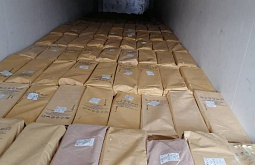 � �������� ���������� 20 ���� ������ ��� ���������� 