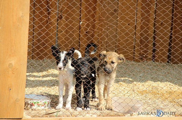 � ������� ���������� ��������� ������ ��� �������� ��� ������������