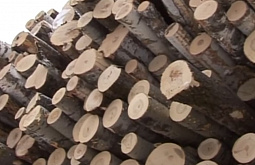 � ������� ����������� ��� �����������������