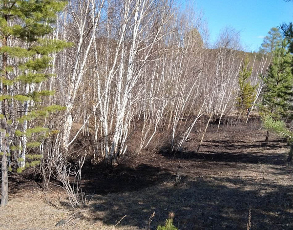 � ������� ��-�� ������� ����� ���� �� ��������� ���