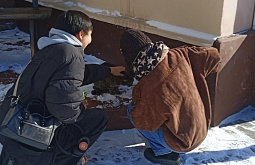 � ����-��� �������� ��� ������ ����� �� ��������