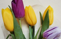 � ����-��� �� -2 ��������