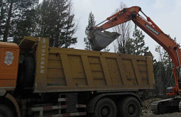 � ������� ����������� �����������, ��������� �������� ����� 