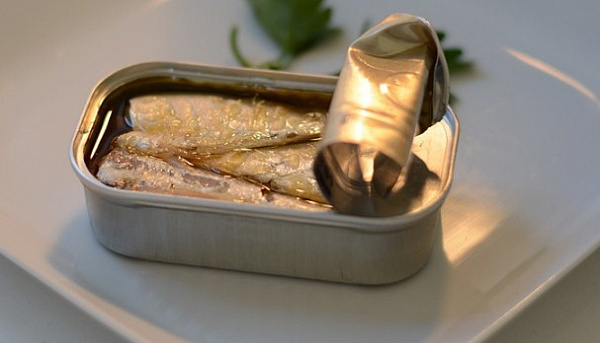 ����� ������� � �������� �������� 45 ���� ������ ���������