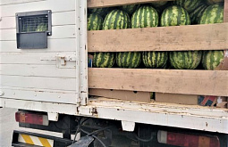 � ������� ������ 136 ���� ������� �� ���������� 