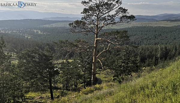 � ������� ����� ����� ������� ������ � ���� 