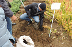 � ������� ������ ������ �� ������������� ����� 