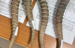 �� ������� � �������� �������� ������� ���� �������������� �������