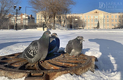 В Бурятии ветер усилится до 14 м/с