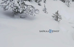 ������ ����� �������� ������� �������