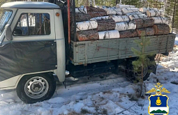 � ������ ������� ������� ������� ������ 11 ��������