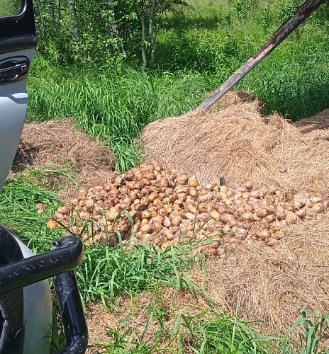 ������� � �������� ������������� ��������� � ��������� �������