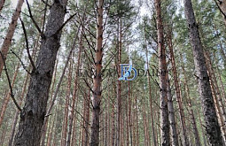 � ��������� ������� ������� 122 ������ �������� ����