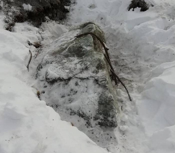 � ������� ������� ������ ����� 7,5 ���� ������� 