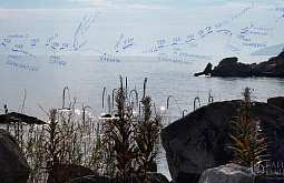 � ��������� ������� ����������� ������ � �������