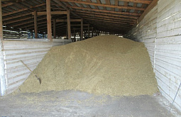 �� �������  � �������� ������� ����� �����