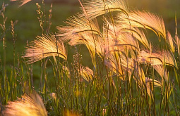 � ������� ������������� �� 62% ������� ������������ 