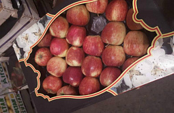 � ������� ���������� 72 �� ����������� �����
