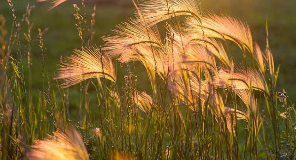 � ������� ������������� �� 62% ������� ������������ 