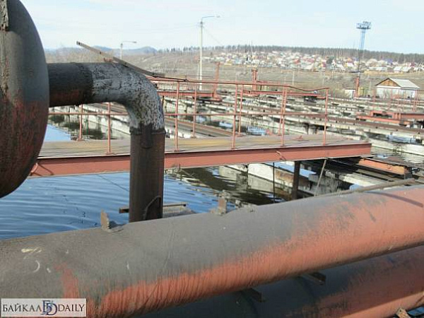 ����-������ �������� �� ������� ����� �� ������������