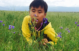 � ��������� �������� ����� ����� ������ �������