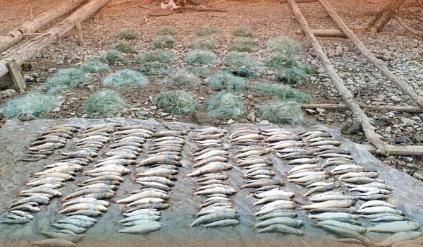 �� ������� ������ ������������� ���� � �������� ����