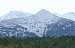 ������ ����� � ����������� �����������: ����������� ����� �� ������� 