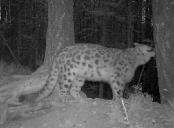 � �������� ������� ������� ���� ����� � �������� �����������