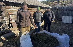 ����������� ������ � ������ �������, ��������� �������