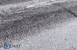 � ������� �� ���������� ������ ���������� ��������